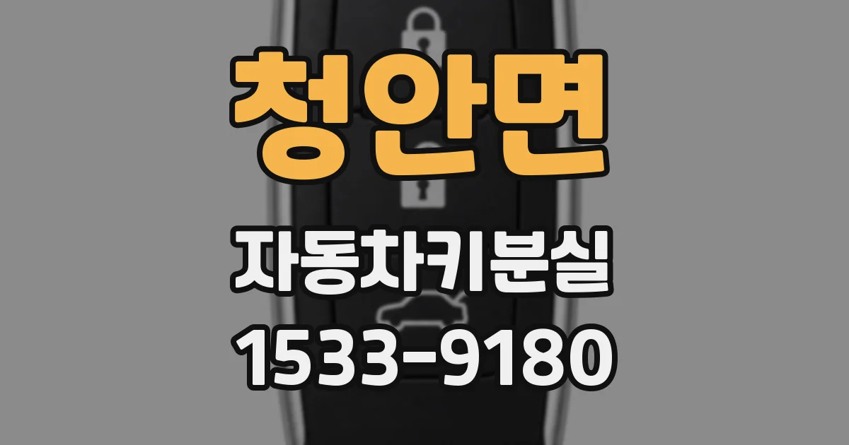 청안면 자동차키분실