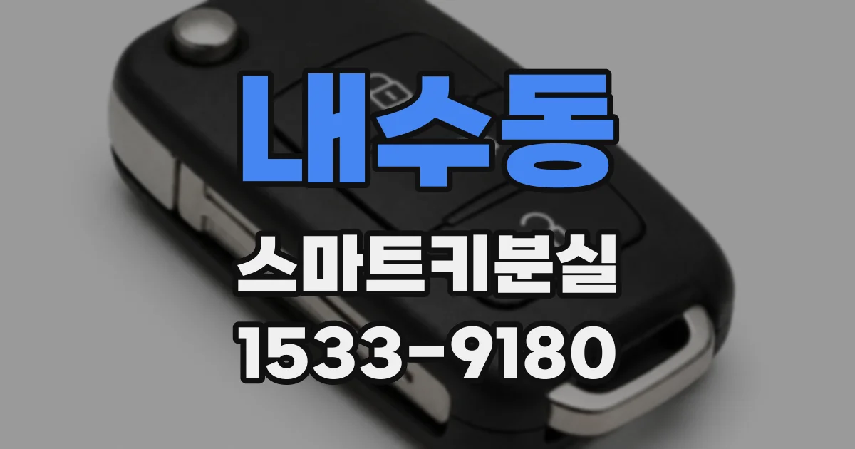 내수동 스마트키분실