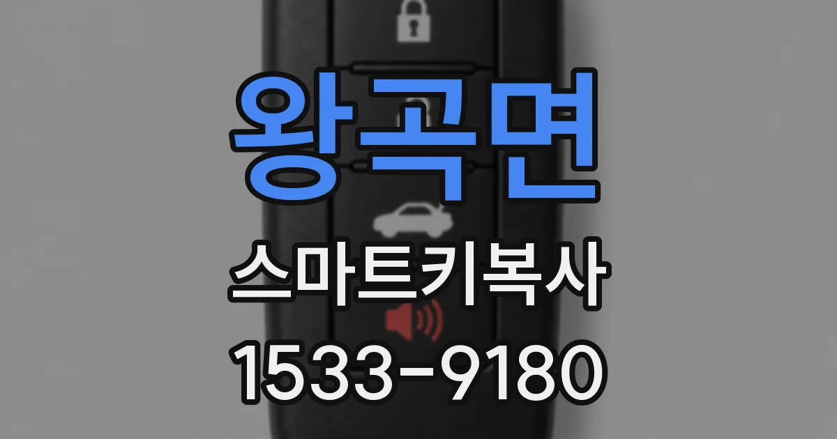 왕곡면 스마트키복사