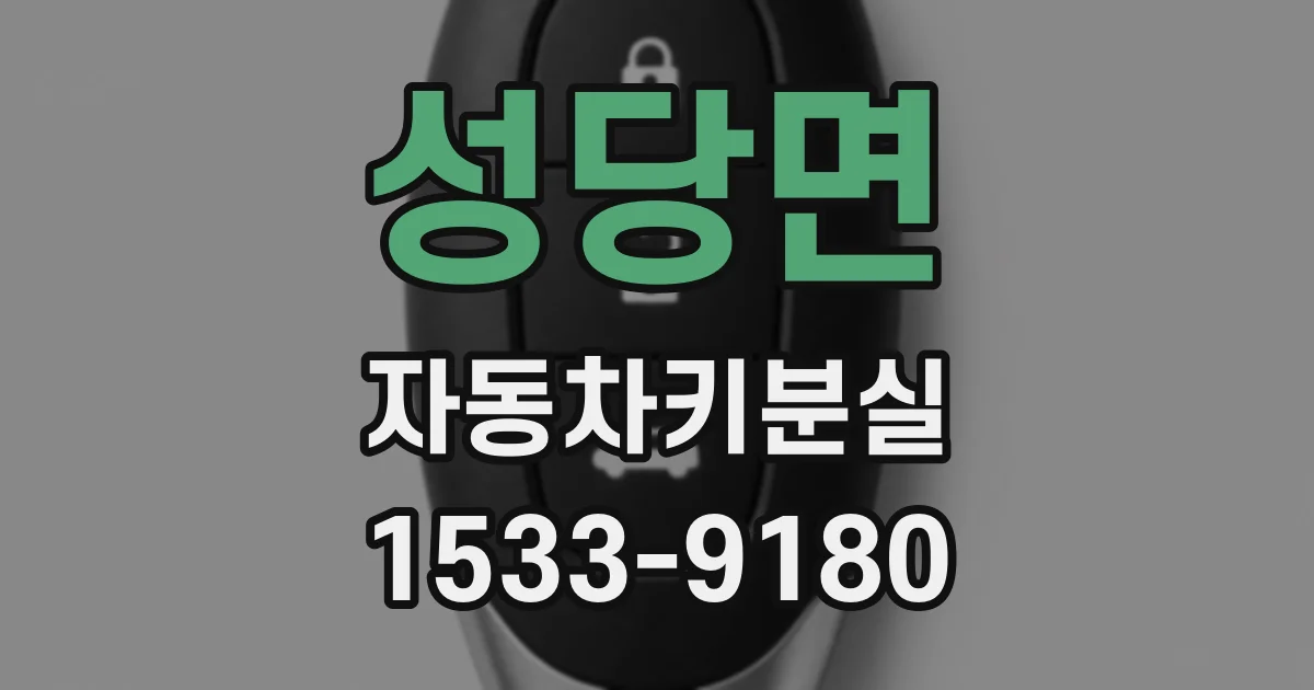 성당면 자동차키분실