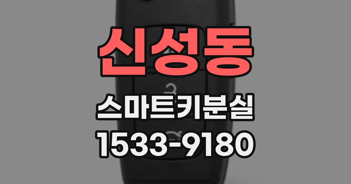 신성동 스마트키분실
