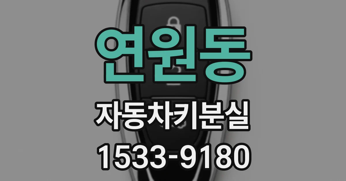 연원동 자동차키분실