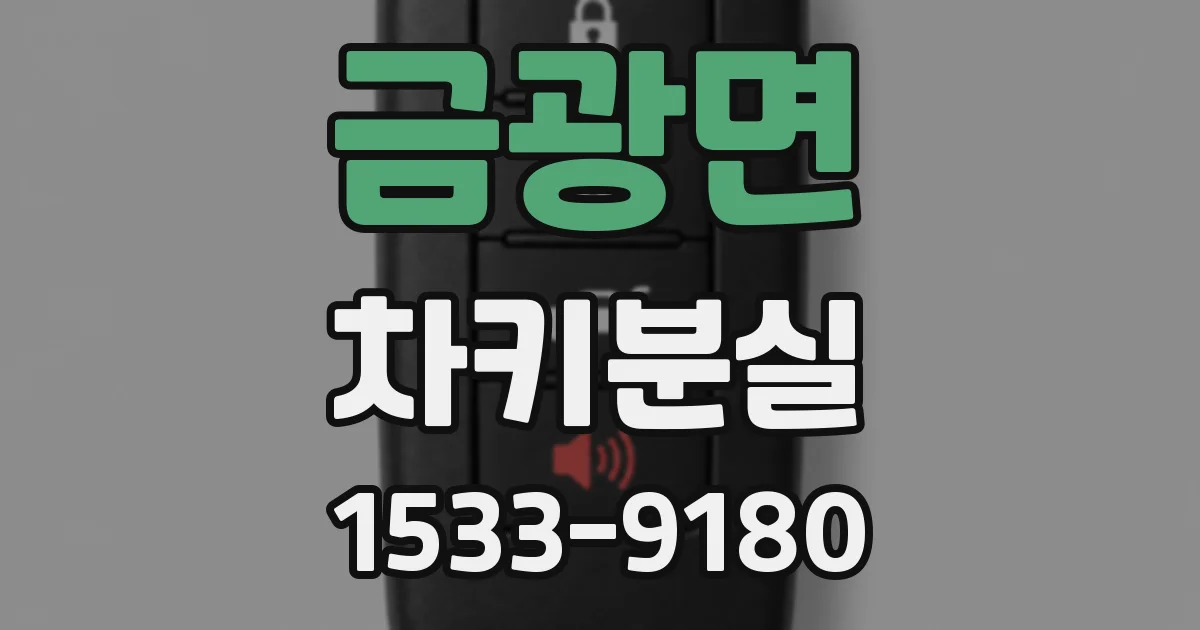 금광면 차키분실