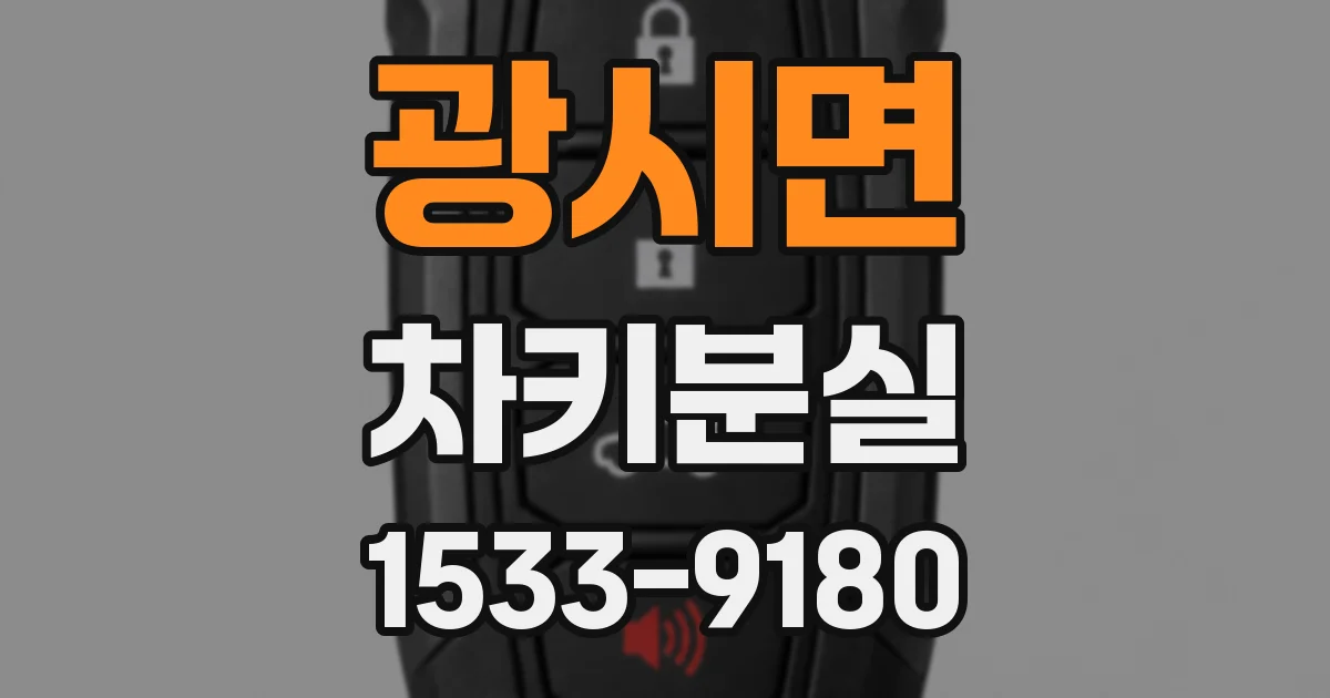광시면 차키분실
