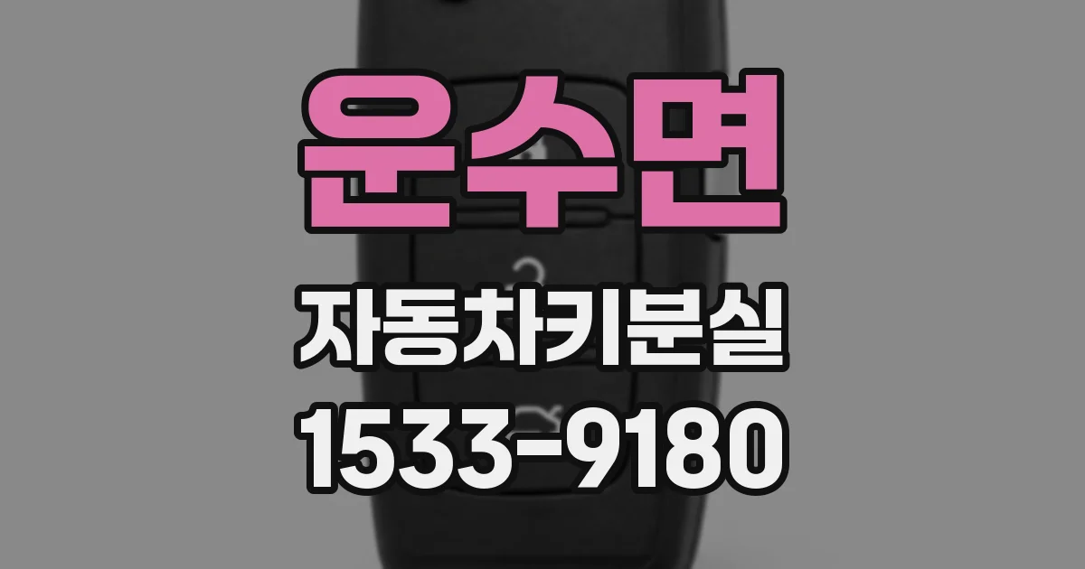 운수면 자동차키분실