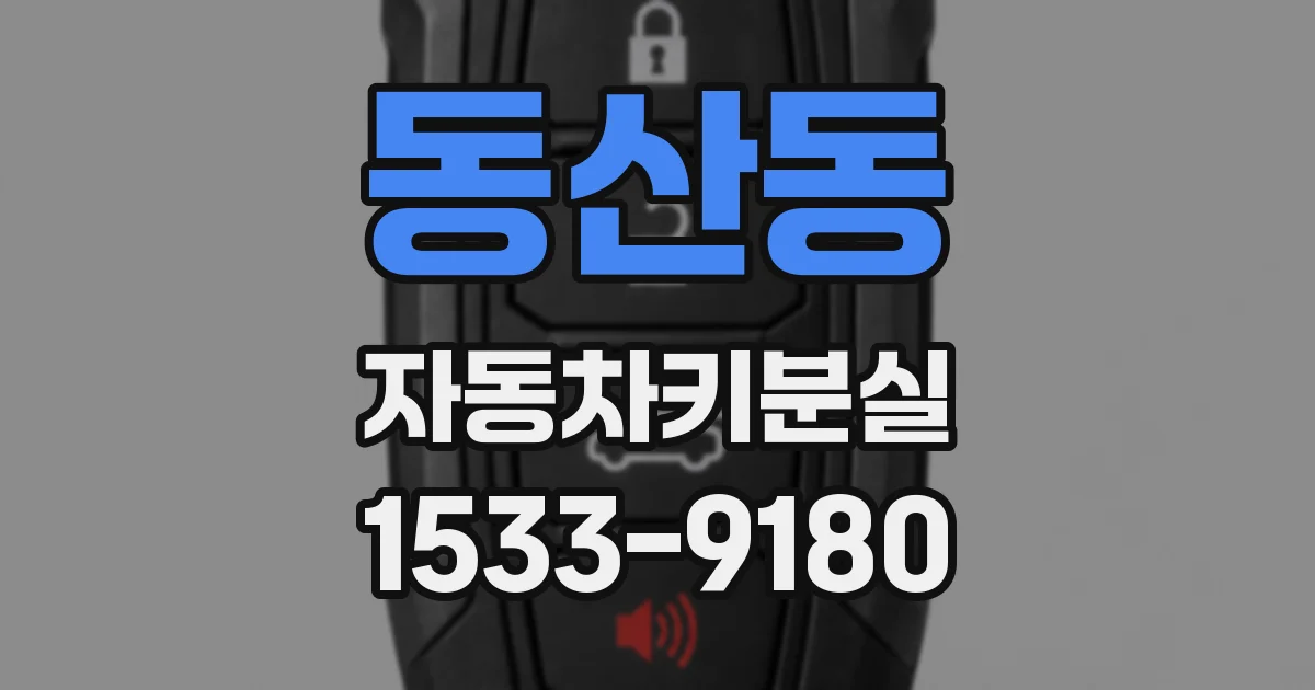 동산동 자동차키분실