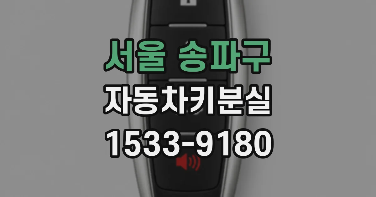 서울 송파구 자동차키분실