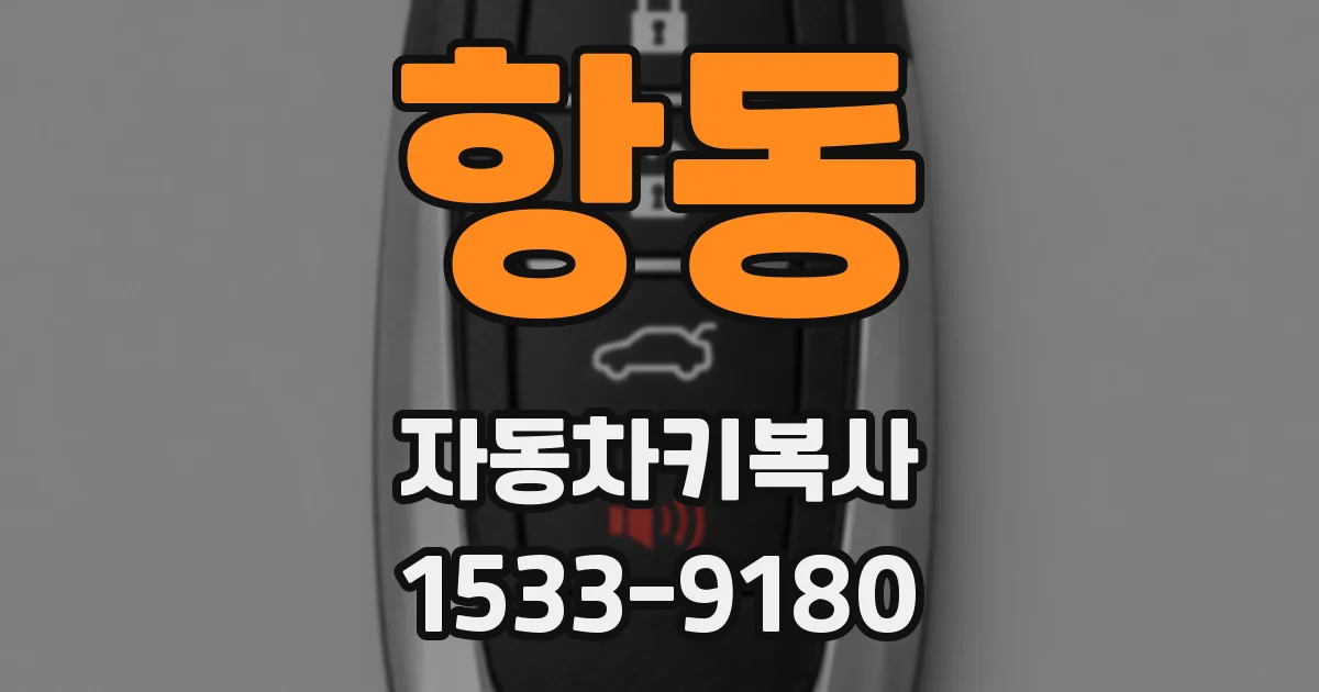 항동 자동차키복사