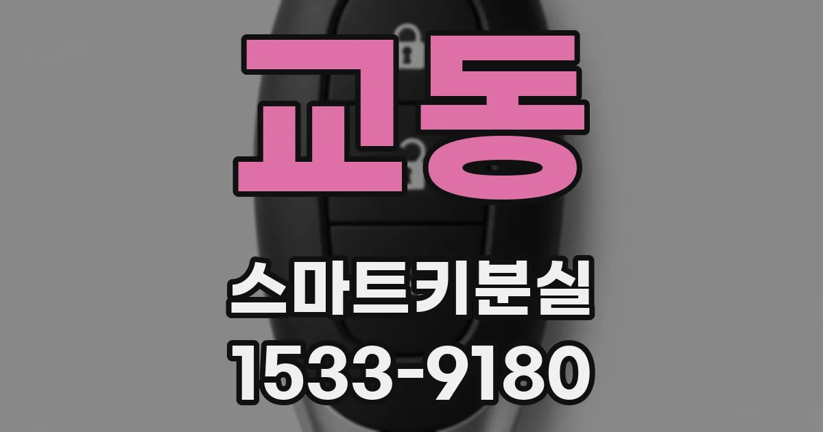 교동 스마트키분실