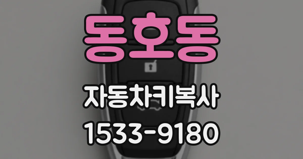 동호동 자동차키복사