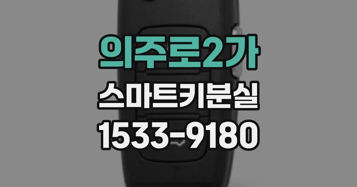 의주로2가 스마트키분실