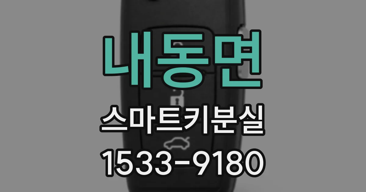 내동면 스마트키분실