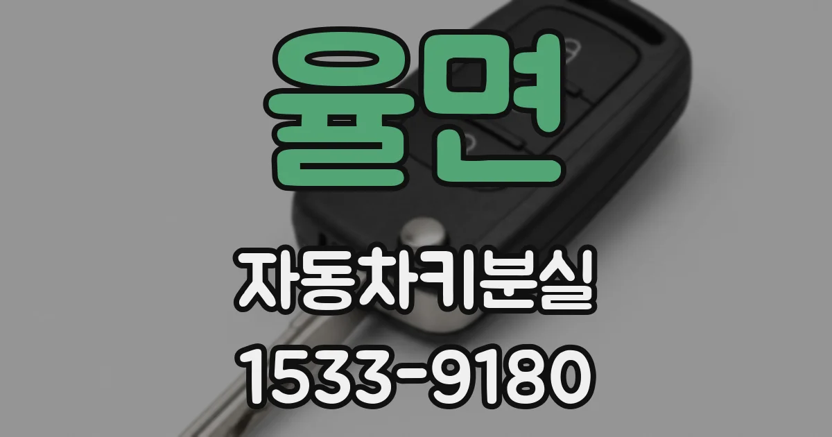 율면 자동차키분실