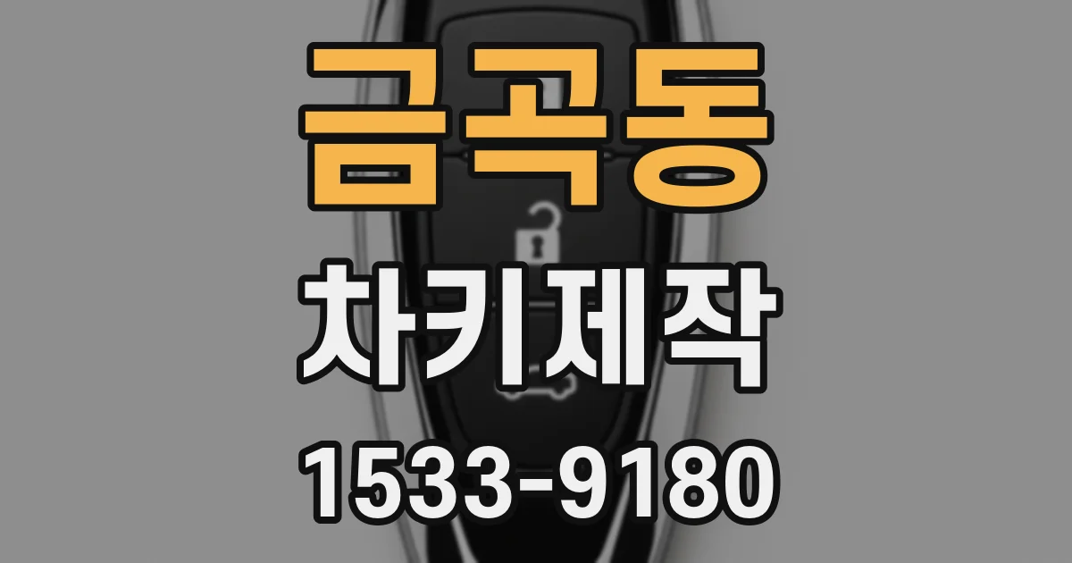 금곡동 차키제작