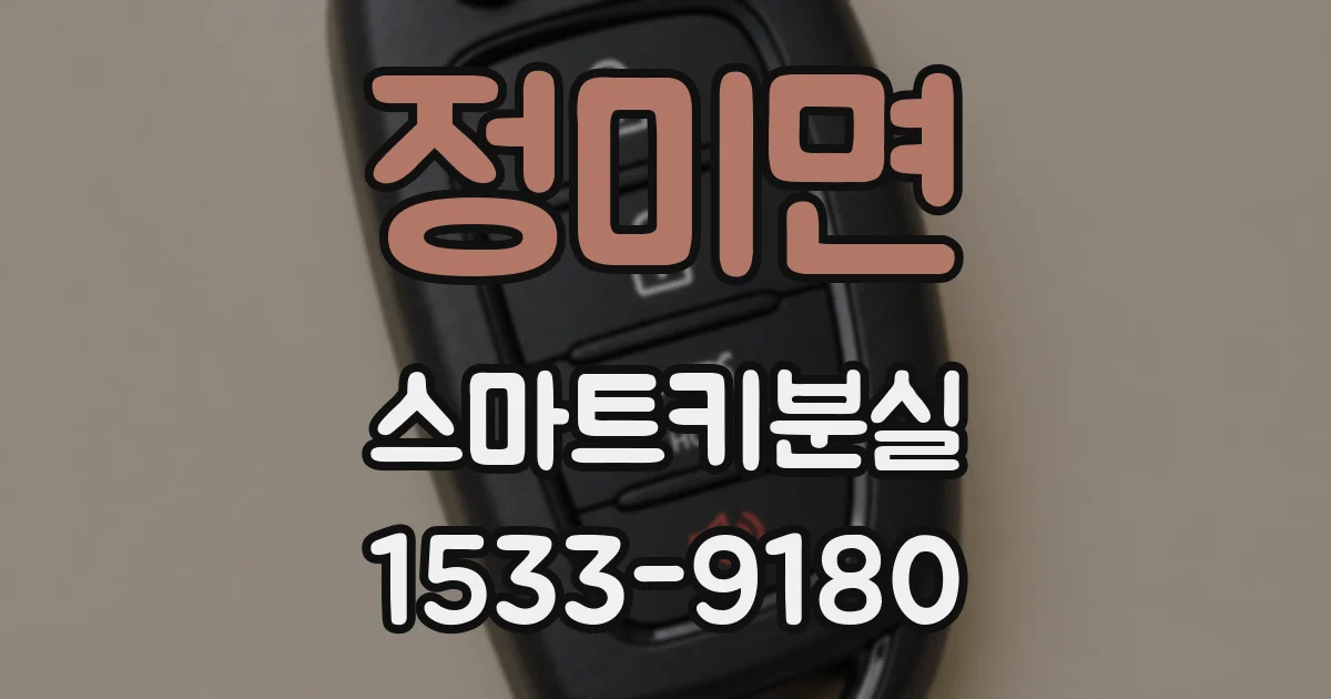 정미면 스마트키분실