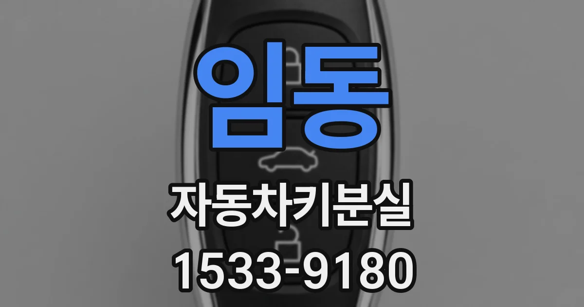 임동 자동차키분실