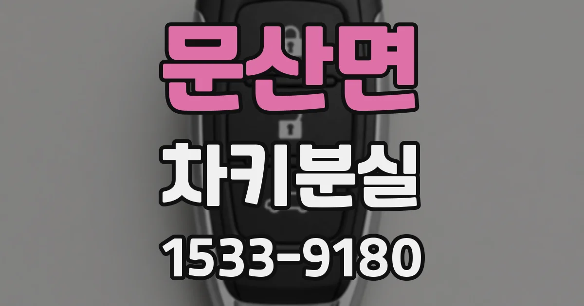 문산면 차키분실
