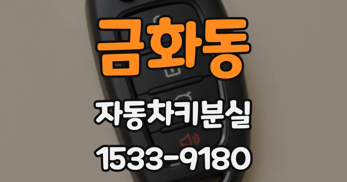 금화동 자동차키분실