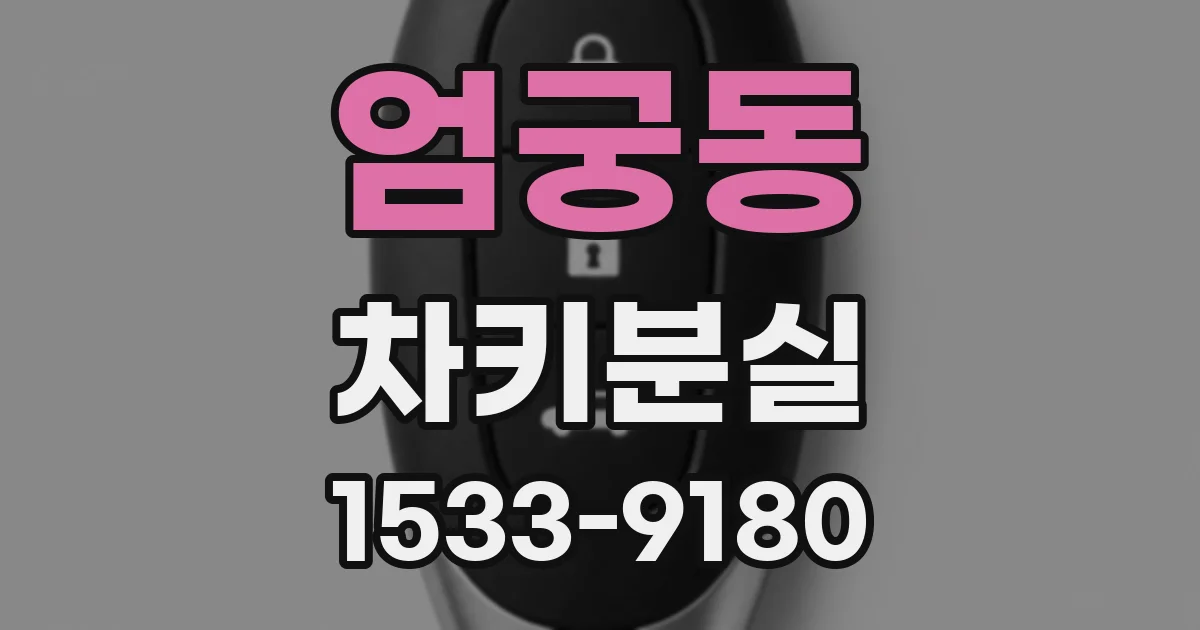 엄궁동 차키분실