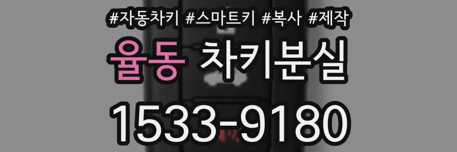 율동 차키분실