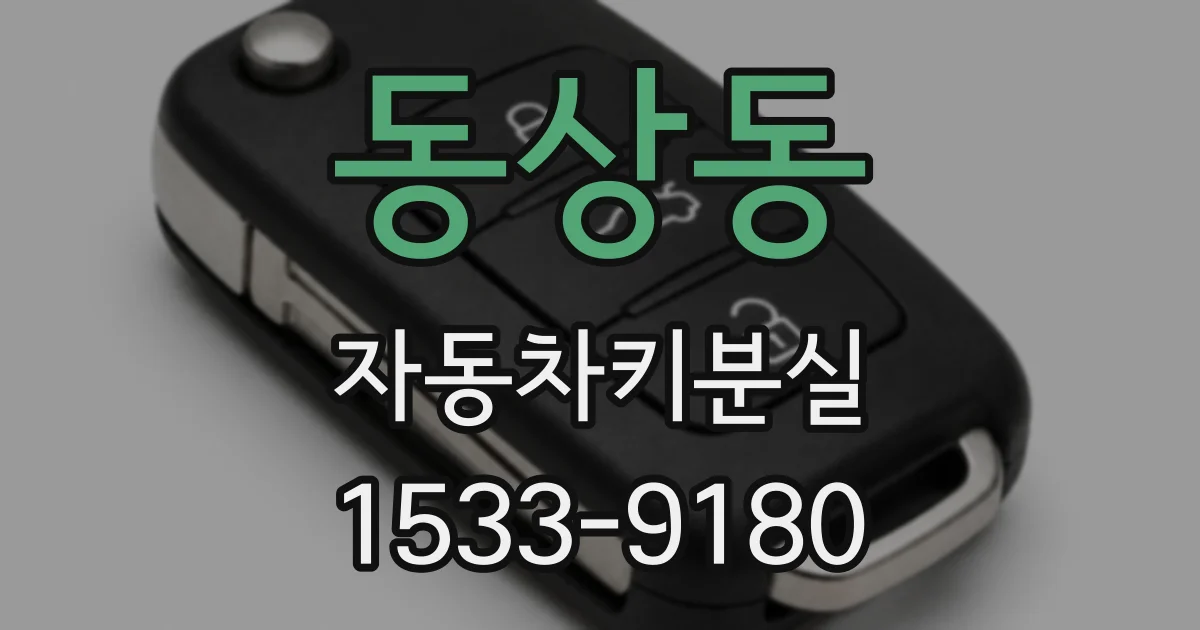 동상동 자동차키분실