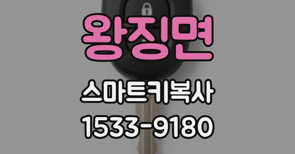 왕징면 스마트키복사