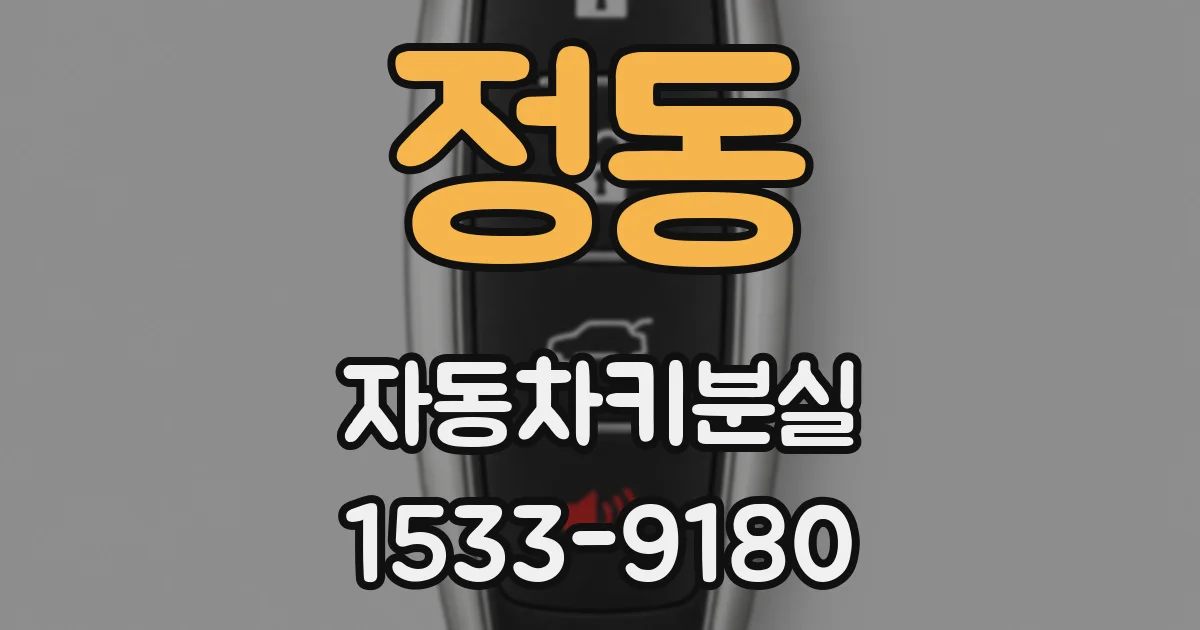 정동 자동차키분실