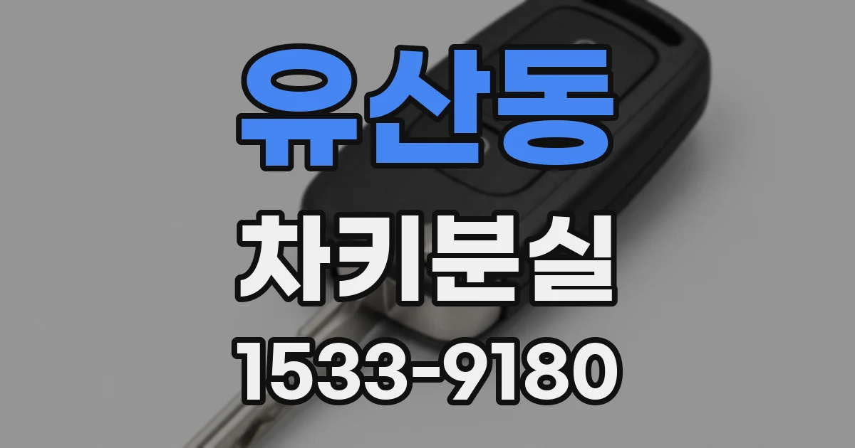 유산동 차키분실