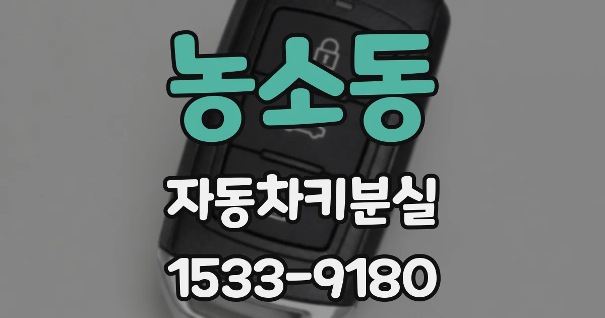 농소동 자동차키분실