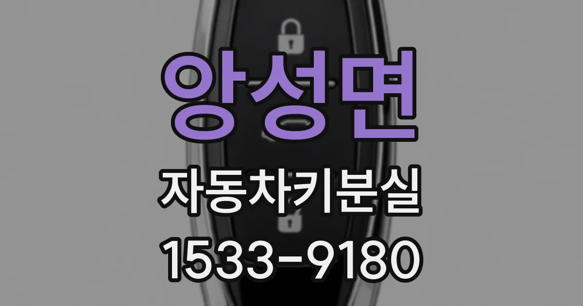 앙성면 자동차키분실