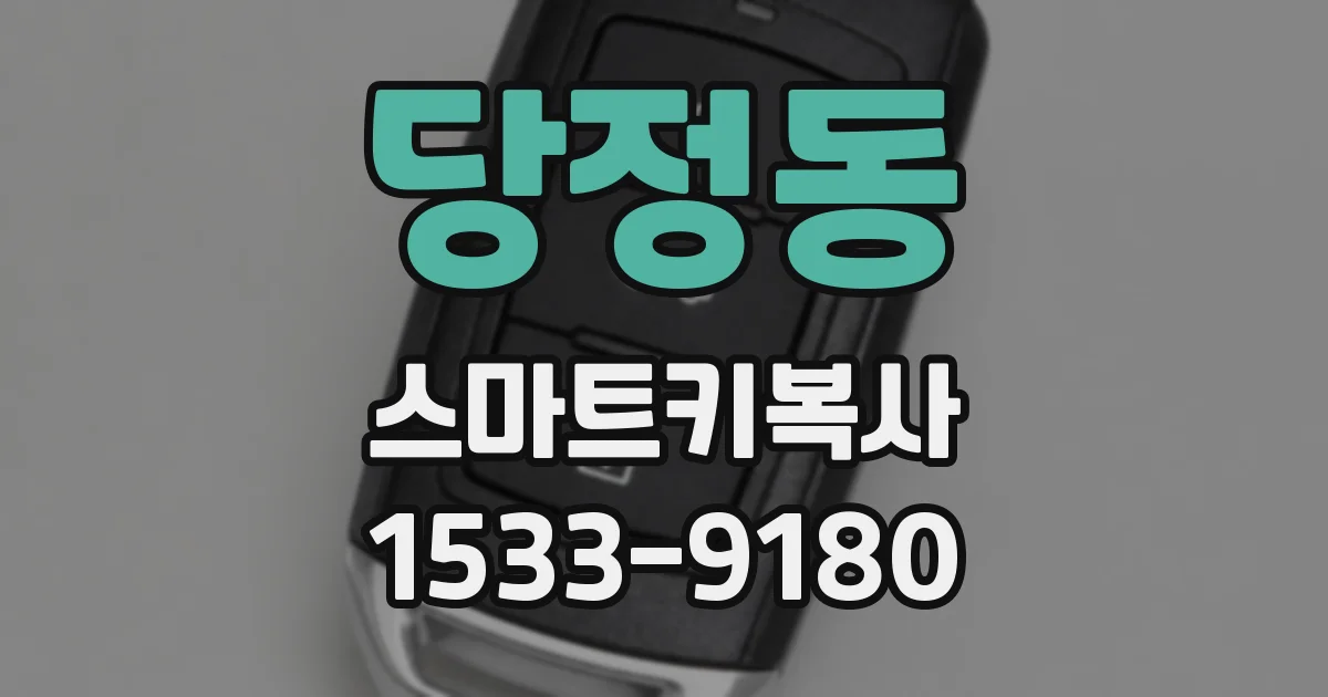 당정동 스마트키복사