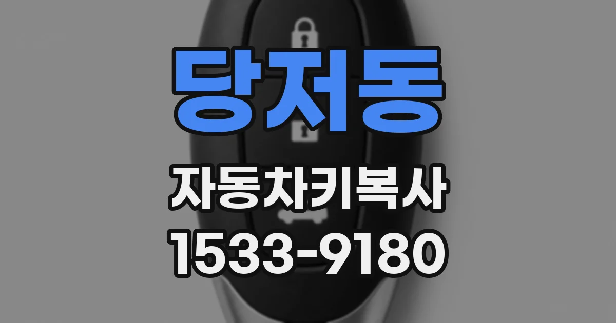 당저동 자동차키복사