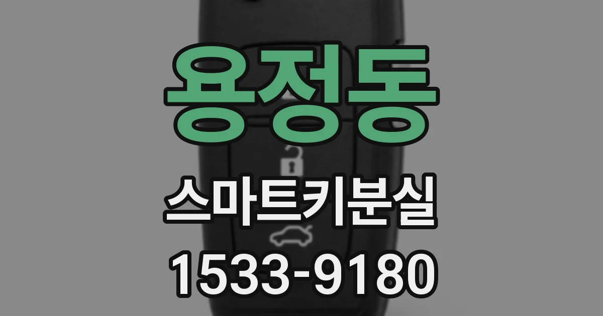 용정동 스마트키분실