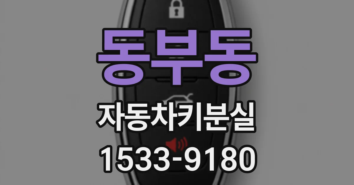 동부동 자동차키분실