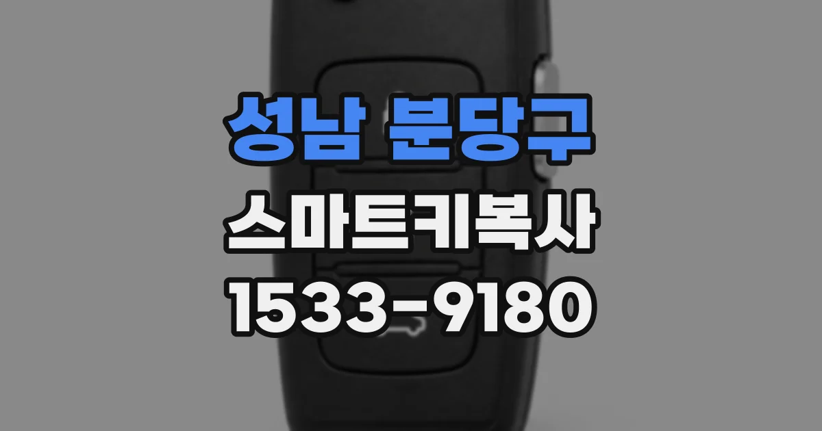 성남 분당구 스마트키복사