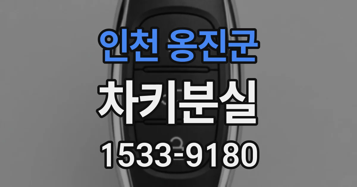 인천 옹진군 차키분실