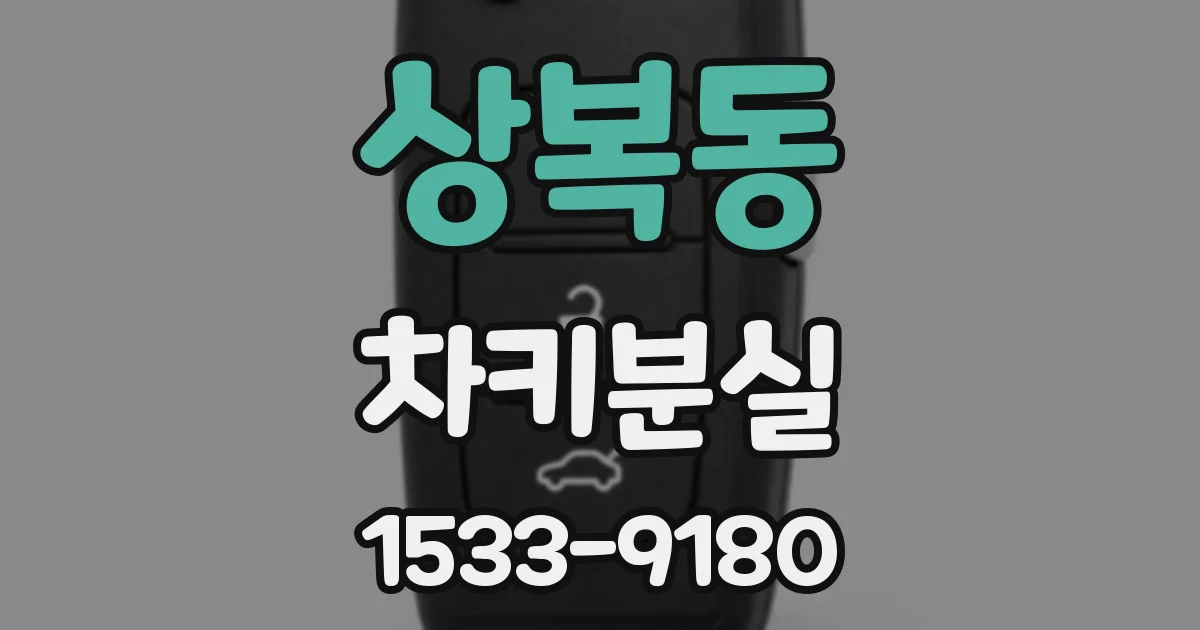 상복동 차키분실