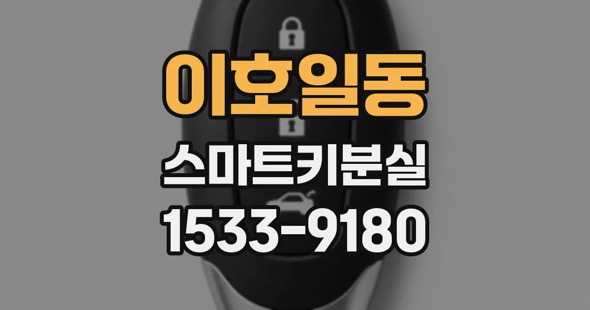 이호일동 스마트키분실