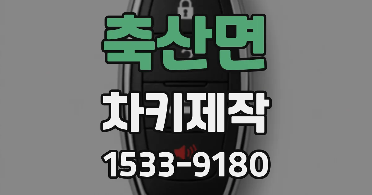 축산면 차키제작