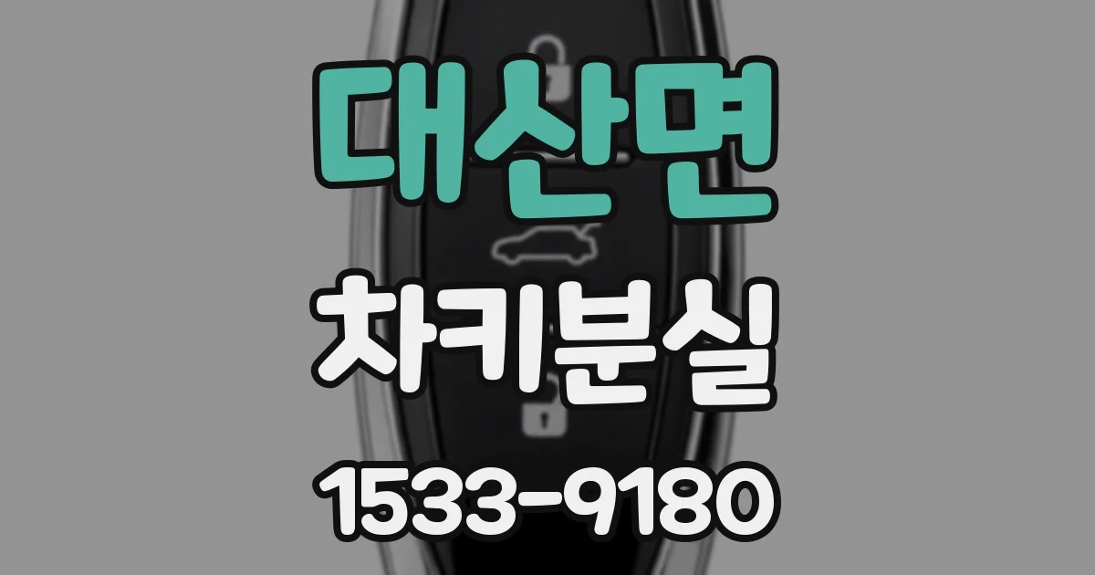 대산면 차키분실