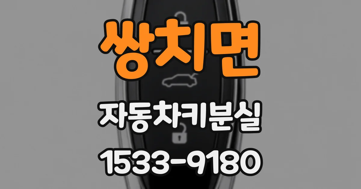 쌍치면 자동차키분실