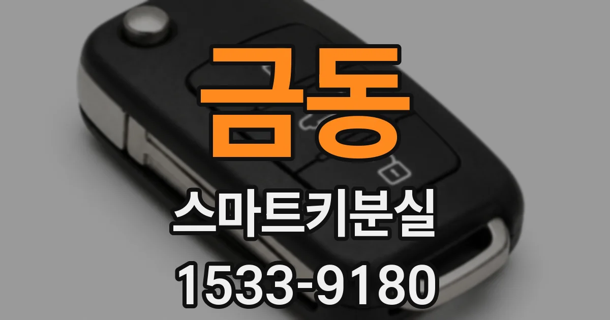 금동 스마트키분실