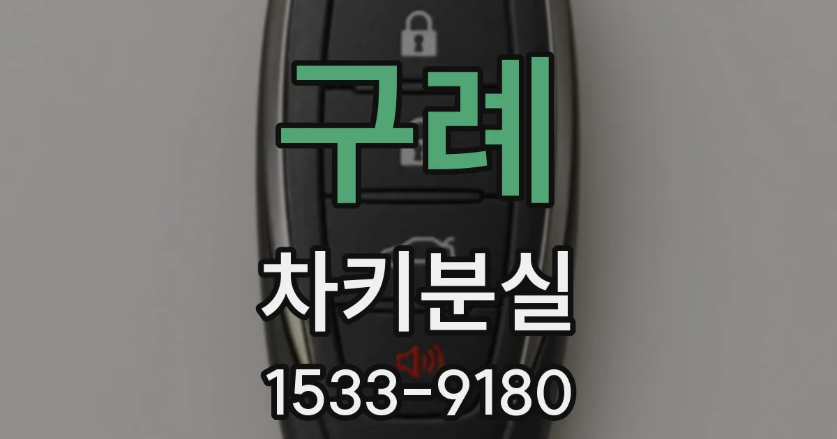 구례 차키분실