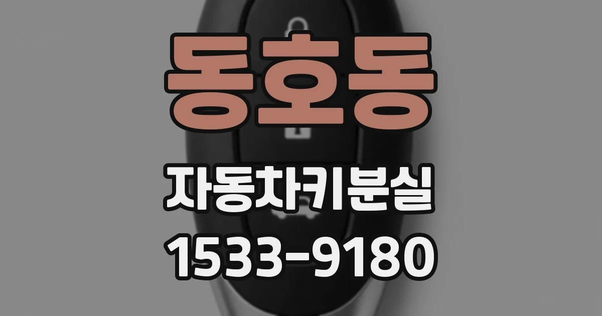 동호동 자동차키분실