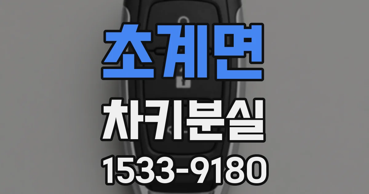 초계면 차키분실