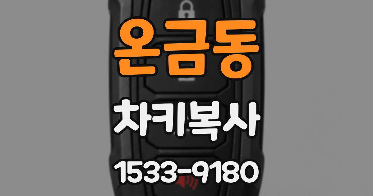 온금동 차키복사