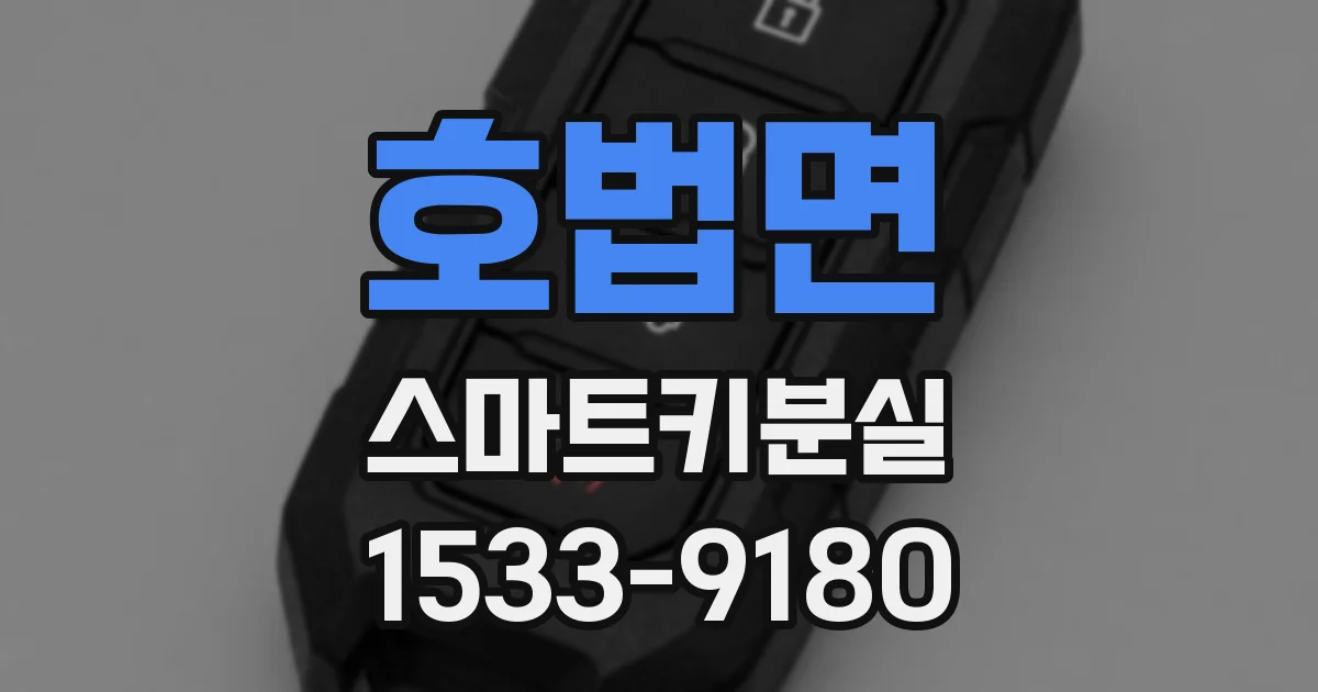 호법면 스마트키분실