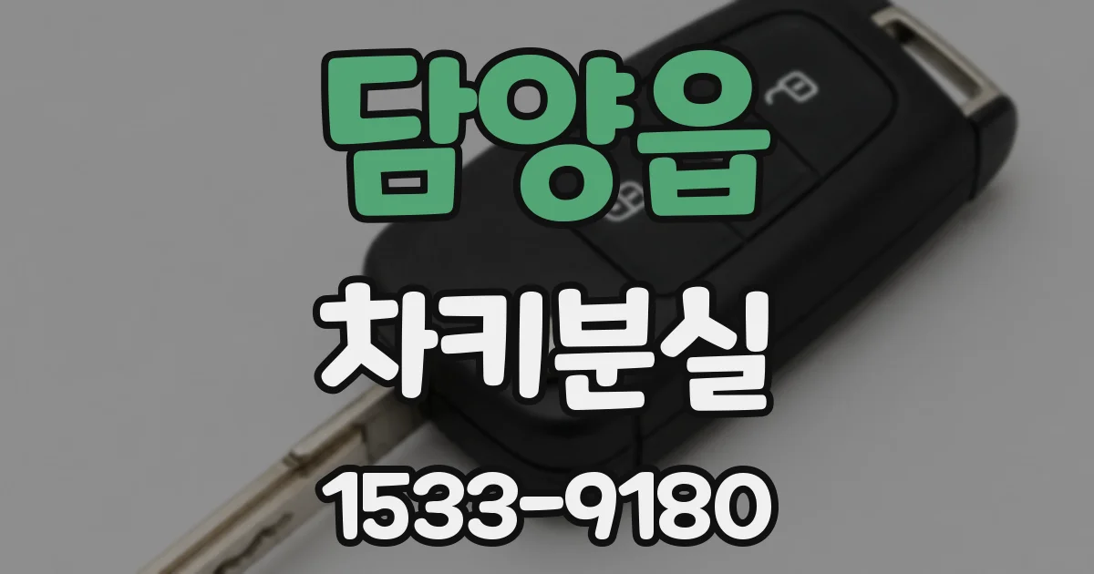 담양읍 차키분실