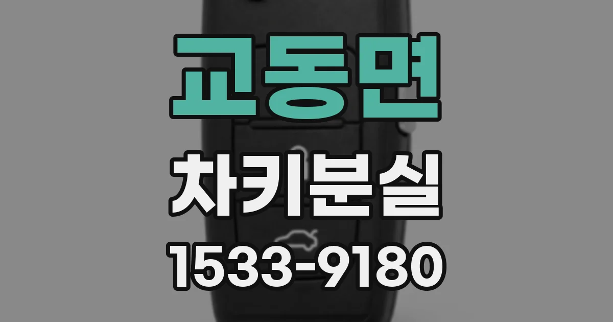 교동면 차키분실