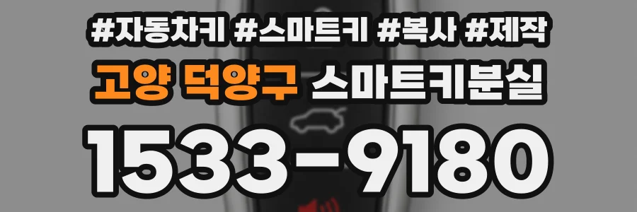 고양 덕양구 스마트키분실